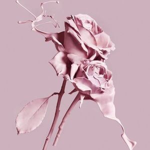 Meet your Posher, Jada